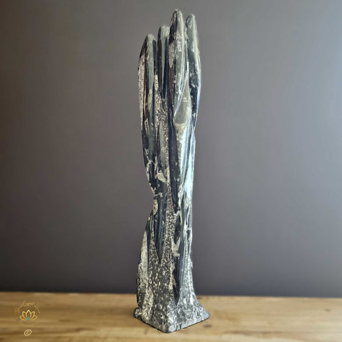 Orthoceras Fossil Sculpture 6.5kgs