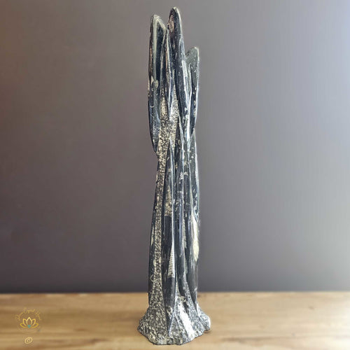 Orthoceras Fossil Sculpture 6kgs