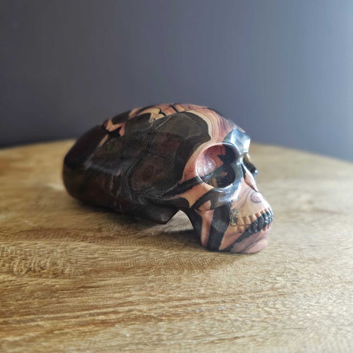 Outback Jasper Alien Skull | Galactic Nomad