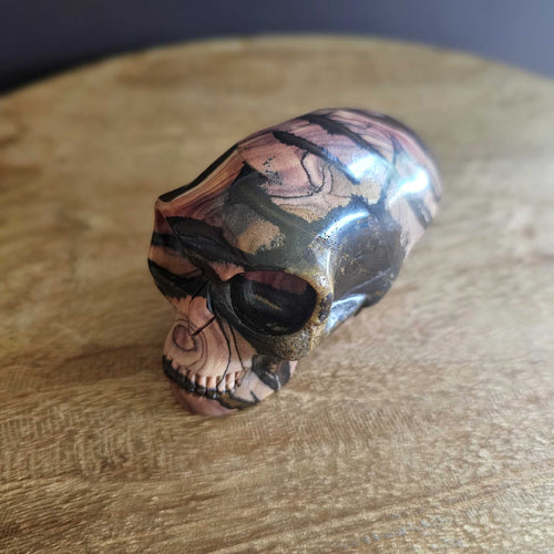 Outback Jasper Alien Skull | Galactic Nomad