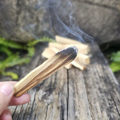 Palo Santo Sticks | Clear Your Space
