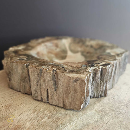 Petrified Wood | Bowl 2.28kgs