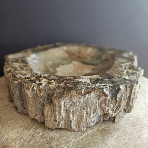 Petrified Wood | Bowl 2.28kgs