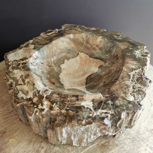 Petrified Wood | Bowl 2.28kgs