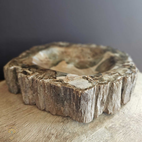 Petrified Wood | Bowl 2.28kgs