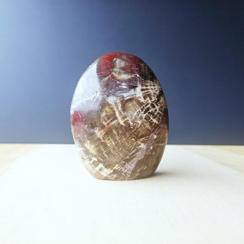 Petrified Wood Dome| Ancient Core