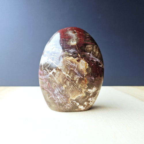 Petrified Wood Dome| Ancient Core