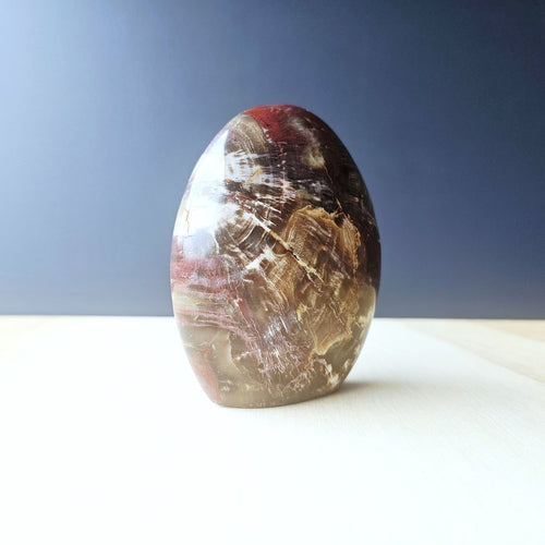 Petrified Wood Dome| Ancient Core