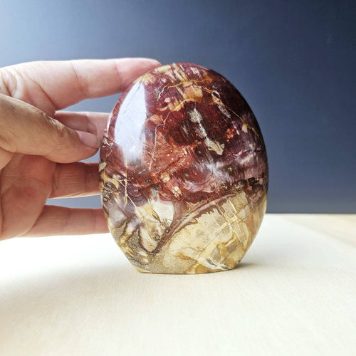 Petrified Wood Dome| Deep Earth Remembrance