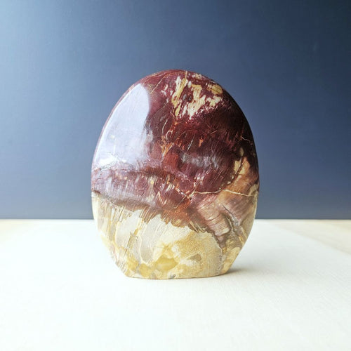 Petrified Wood Dome| Deep Earth Remembrance