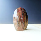 Petrified Wood Dome| The Earth Archive
