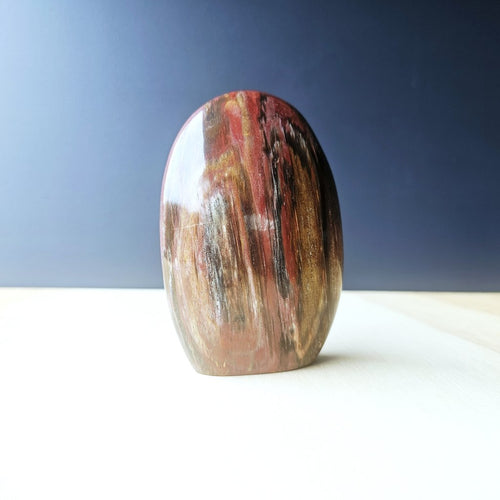 Petrified Wood Dome| The Earth Archive