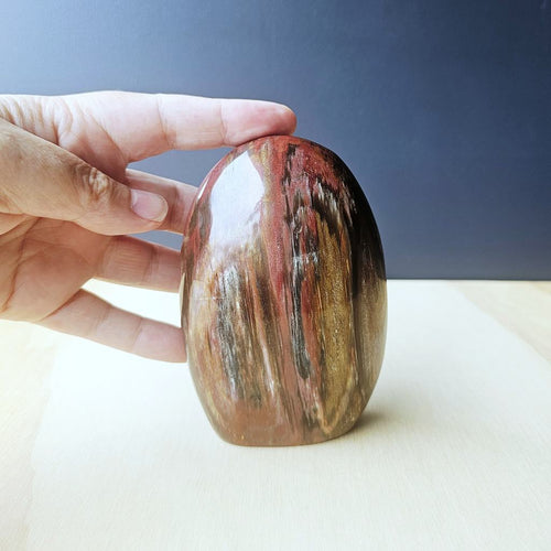 Petrified Wood Dome| The Earth Archive