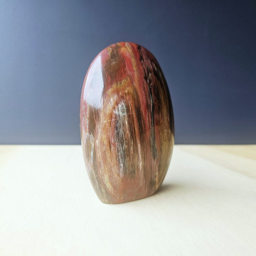 Petrified Wood Dome| The Earth Archive