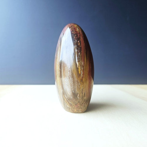 Petrified Wood Dome| The Earth Archive