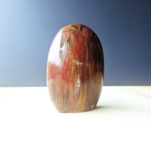 Petrified Wood Dome| The Earth Archive