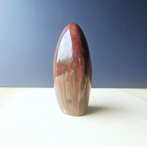 Petrified Wood Dome| The Earth Archive