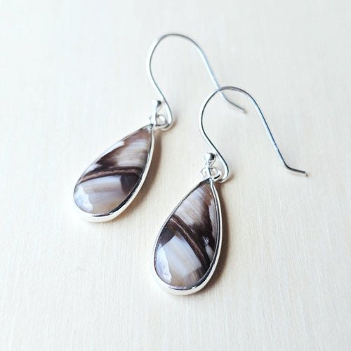Petrified Wood Earrings | Timeless Energy