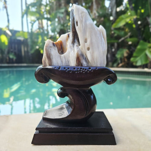 Petrified Wood Specimen | Custom Stand 1.3kg