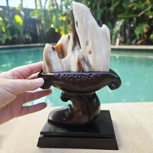 Petrified Wood Specimen | Custom Stand 1.3kg