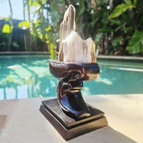 Petrified Wood Specimen | Custom Stand 1.3kg