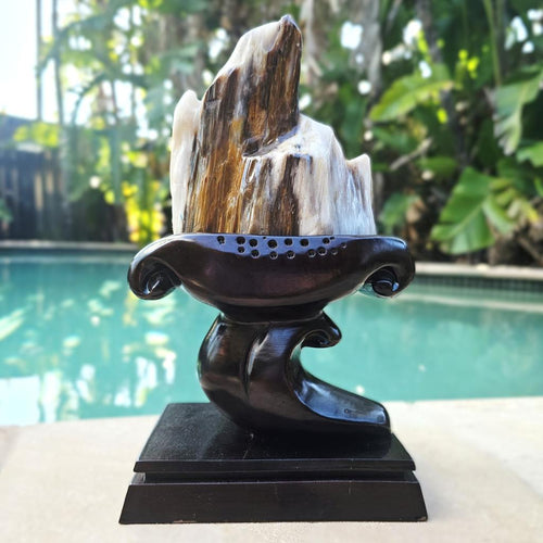 Petrified Wood Specimen | Custom Stand 1.3kg
