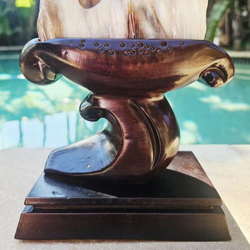 Petrified Wood Specimen | Custom Stand 1.3kg