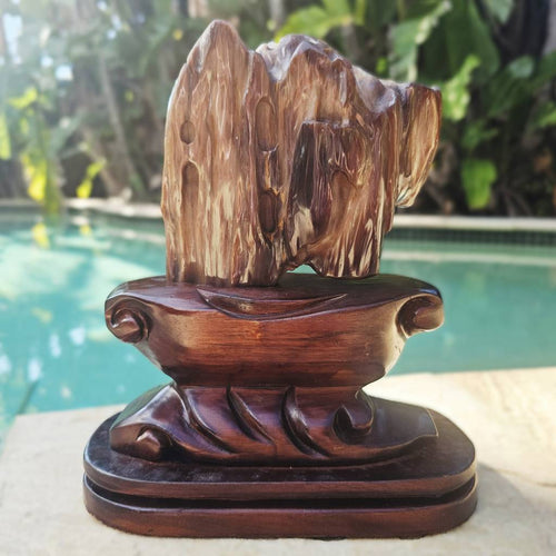 Petrified Wood Specimen | Custom Stand 1.6kg