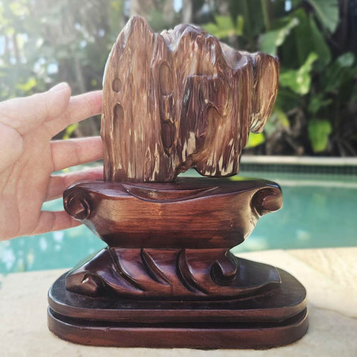 Petrified Wood Specimen | Custom Stand 1.6kg
