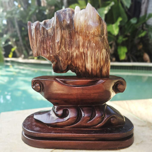 Petrified Wood Specimen | Custom Stand 1.6kg