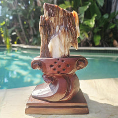 Petrified Wood Specimen | Custom Stand 2kg