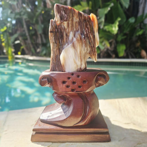 Petrified Wood Specimen | Custom Stand 2kg