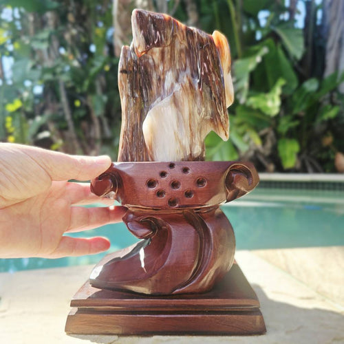 Petrified Wood Specimen | Custom Stand 2kg