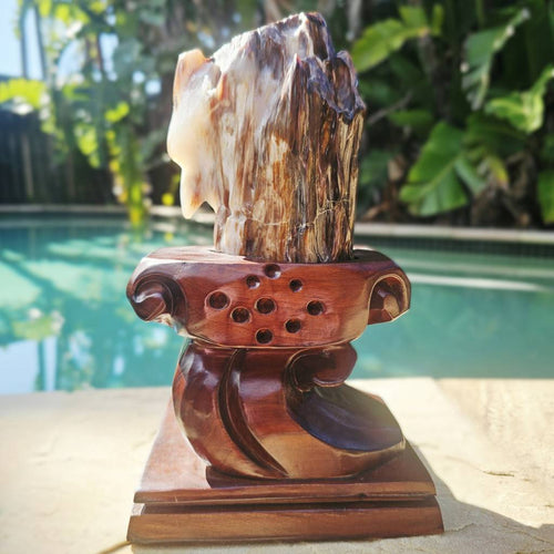 Petrified Wood Specimen | Custom Stand 2kg