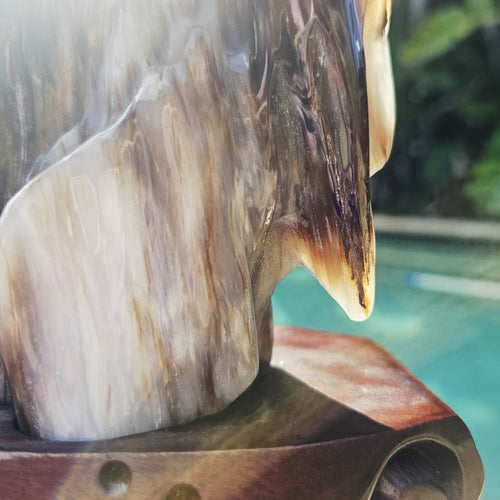 Petrified Wood Specimen | Custom Stand 2kg