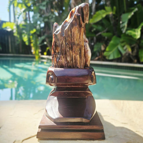 Petrified Wood Specimen | Custom Stand 2kg