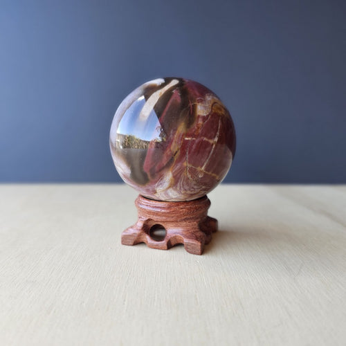 Petrified Wood Sphere | Earthkeeper