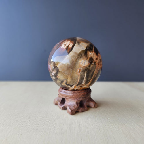 Petrified Wood Sphere | Sacred Rings