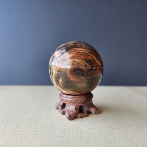 Petrified Wood Sphere | Sacred Rings