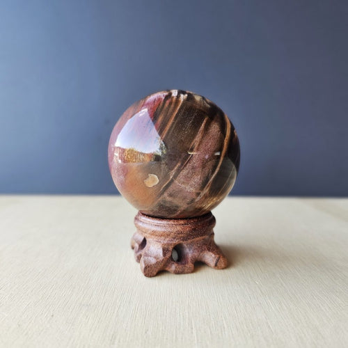 Petrified Wood Sphere | Sacred Rings