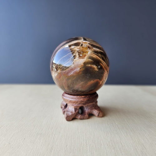 Petrified Wood Sphere | Sacred Rings