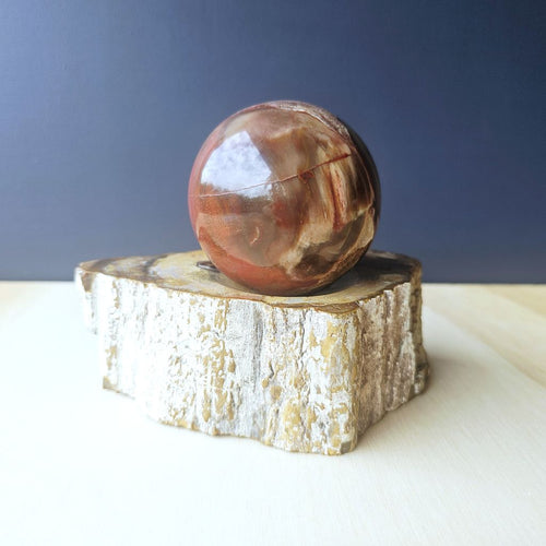 Petrified Wood Sphere & Stand | Ancient Earth Anchor