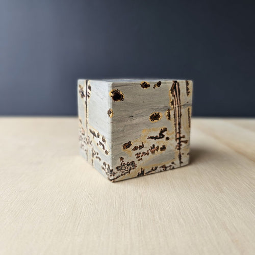 Picture Jasper Cube | Akashic Block
