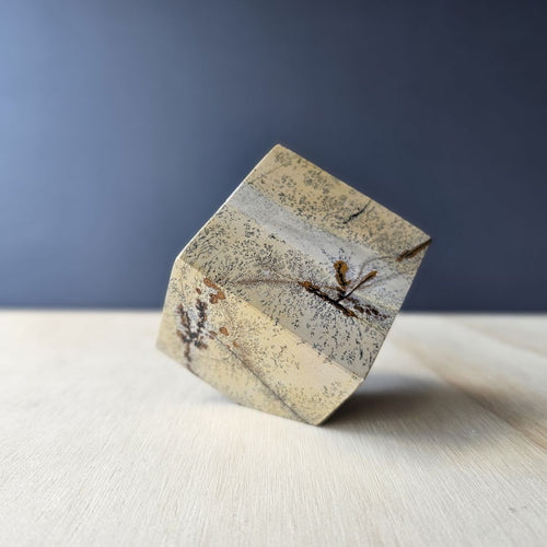 Picture Jasper Cube | Earth Grid Key