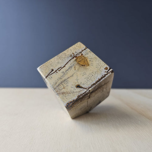 Picture Jasper Cube | Earth Grid Key