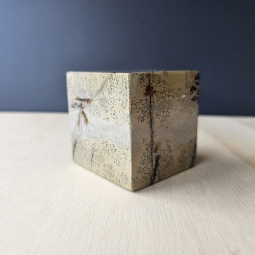 Picture Jasper Cube | Earth Grid Key