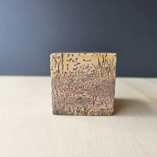 Picture Jasper Cube | Earthkeeper's Cube