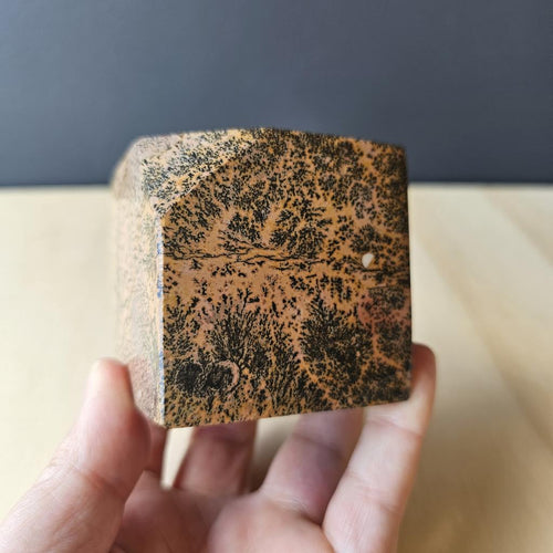 Picture Jasper Cube | Earthkeeper's Cube