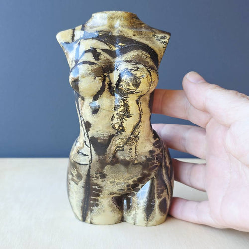 Picture Jasper Female Body | 994gms