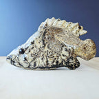 Picture Jasper Fish Carving | Whispering Waters